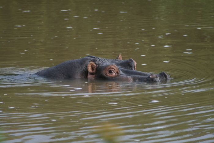 Laikipia Sosian Safari Lodge