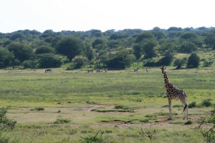 Laikipia Sosian Safari Lodge