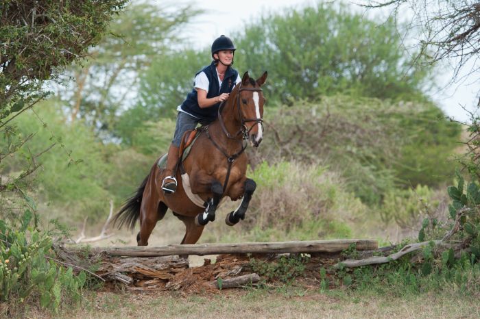 Laikipia Sosian Safari Lodge