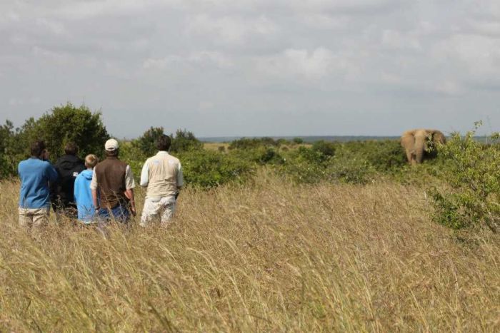 Laikipia Sosian Safari Lodge