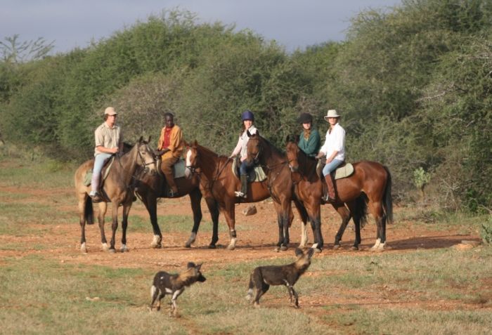 Laikipia Sosian Safari Lodge