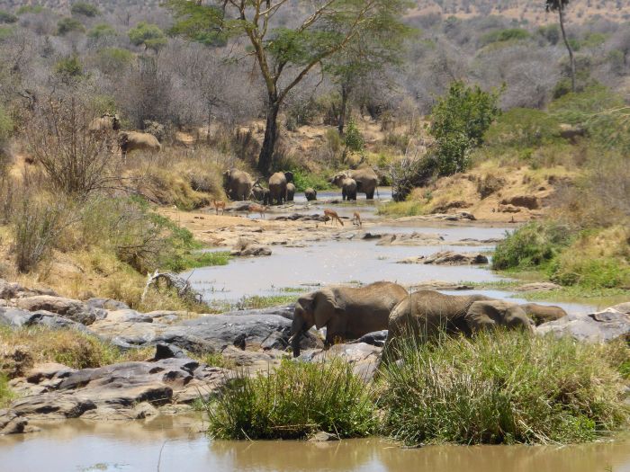 Laikipia Sosian Safari Lodge