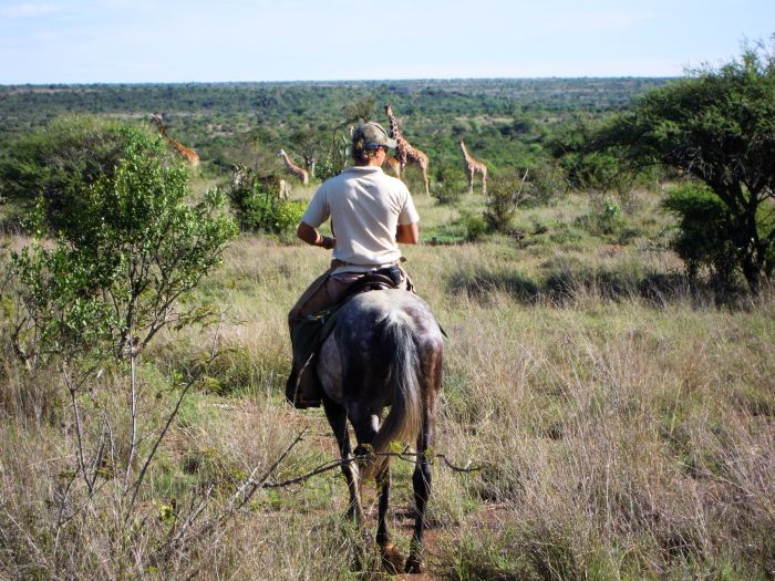 Laikipia Sosian Safari Lodge