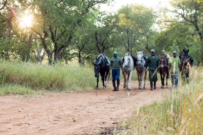 Simbabwe Reitsafaris