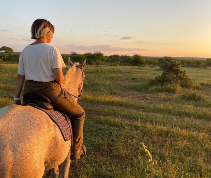 Simbabwe Reitsafaris