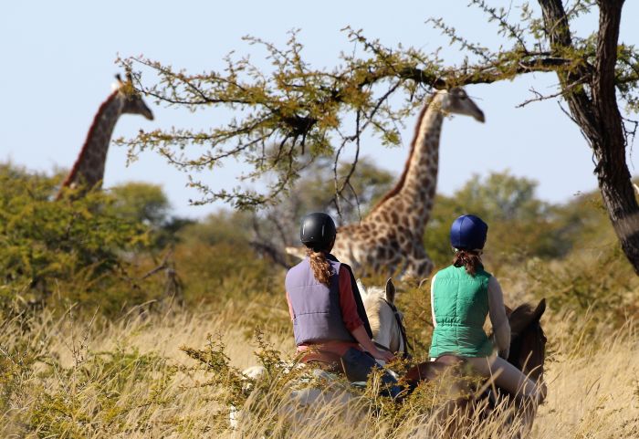 Simbabwe Reitsafaris