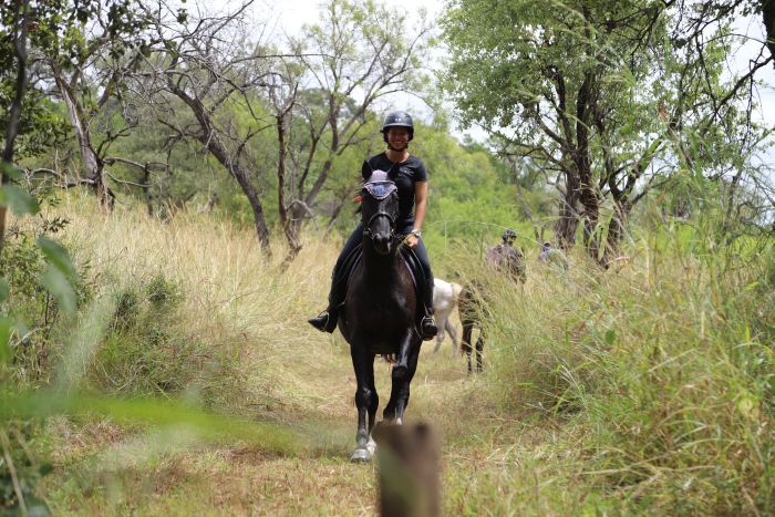 Simbabwe Reitsafaris