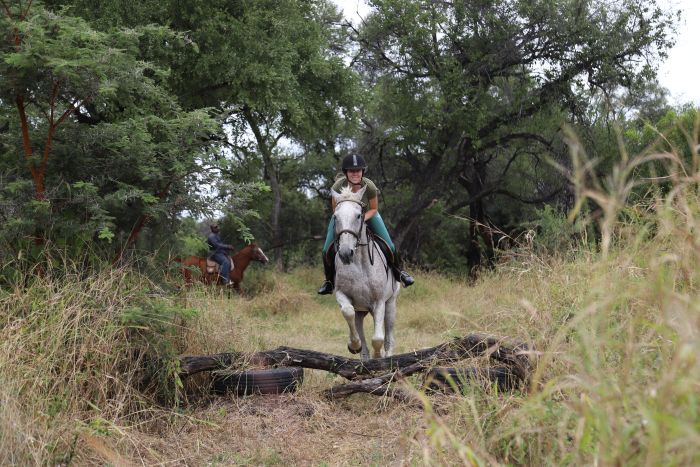 Simbabwe Reitsafaris