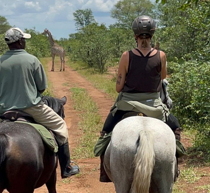 Simbabwe Reitsafaris