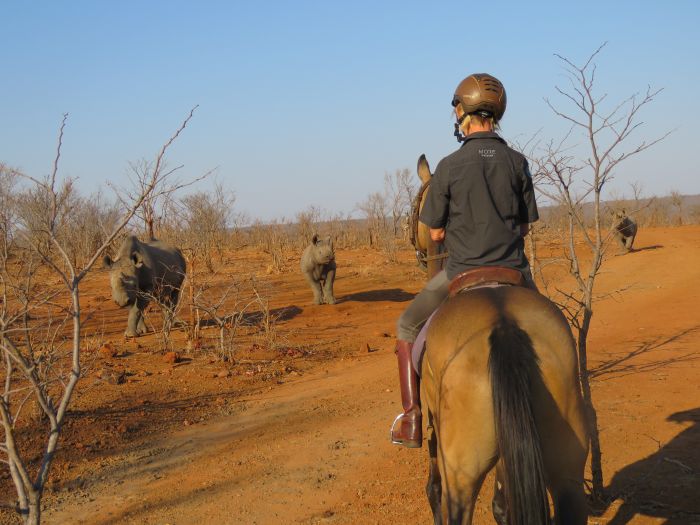 Sambesi Grosswild-Safari