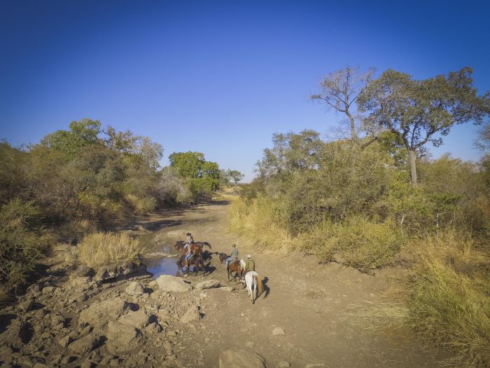 Sambesi Grosswild-Safari