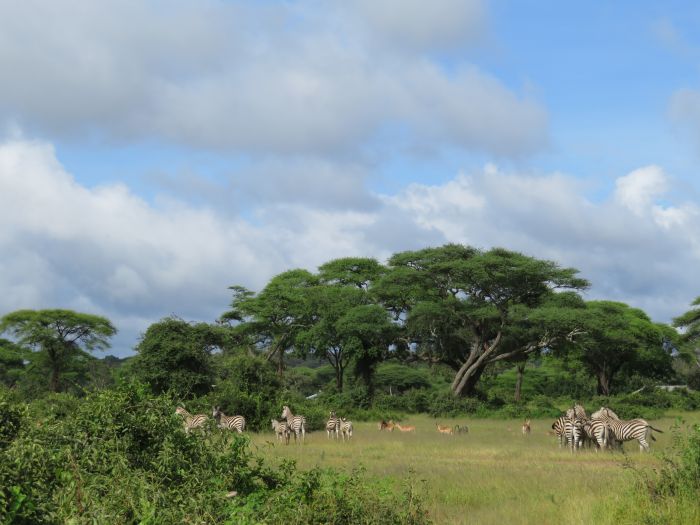 Sambesi Reit-, Kanu- und Grosswild-Safari