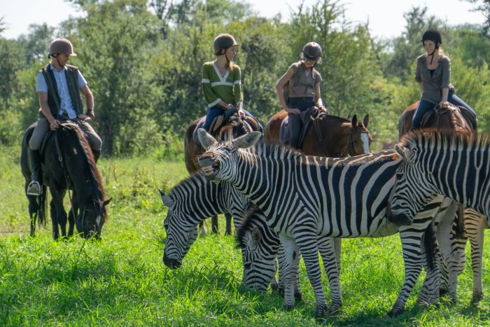 Sambesi Grosswild-Safari