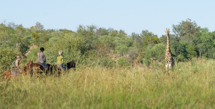 Sambesi Grosswild-Safari