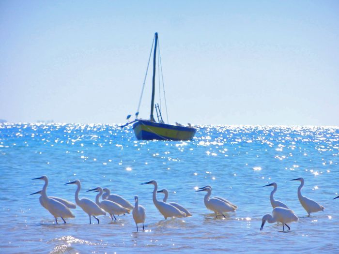 Strandparadies Mosambik