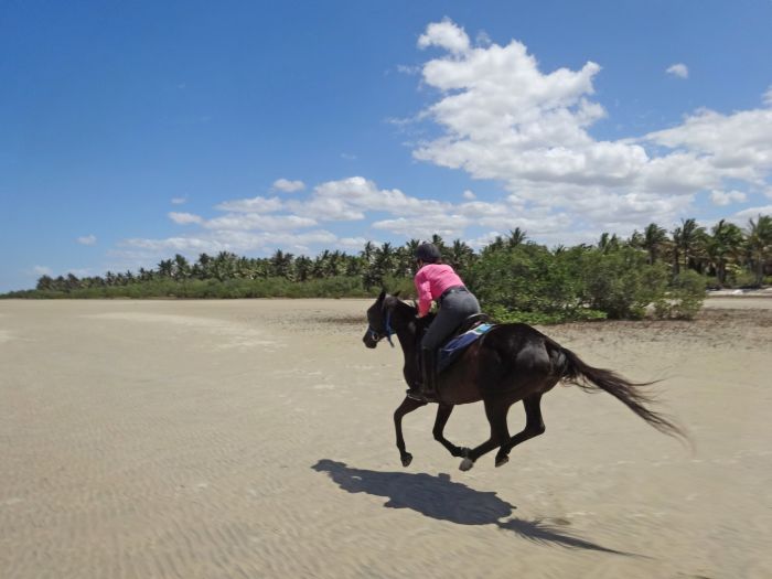 Strandparadies Mosambik