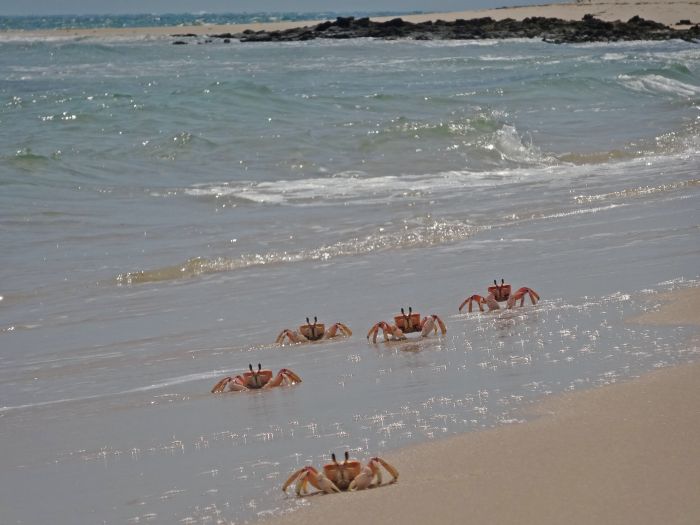 Strandparadies Mosambik