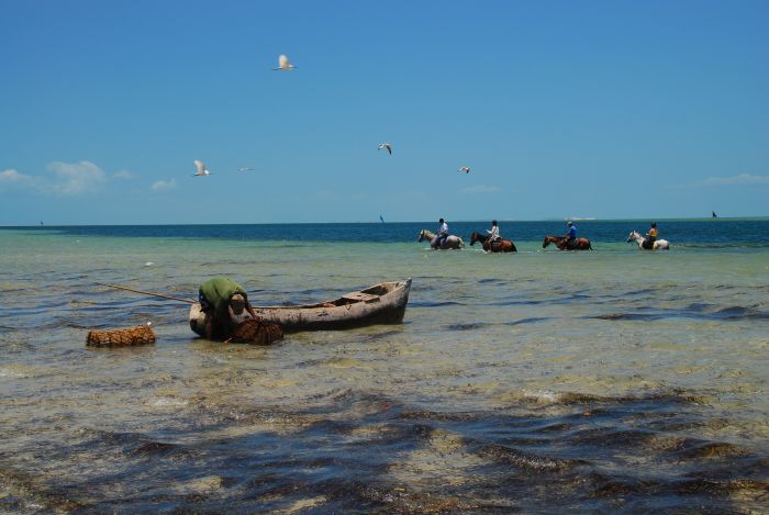 Strandparadies Mosambik