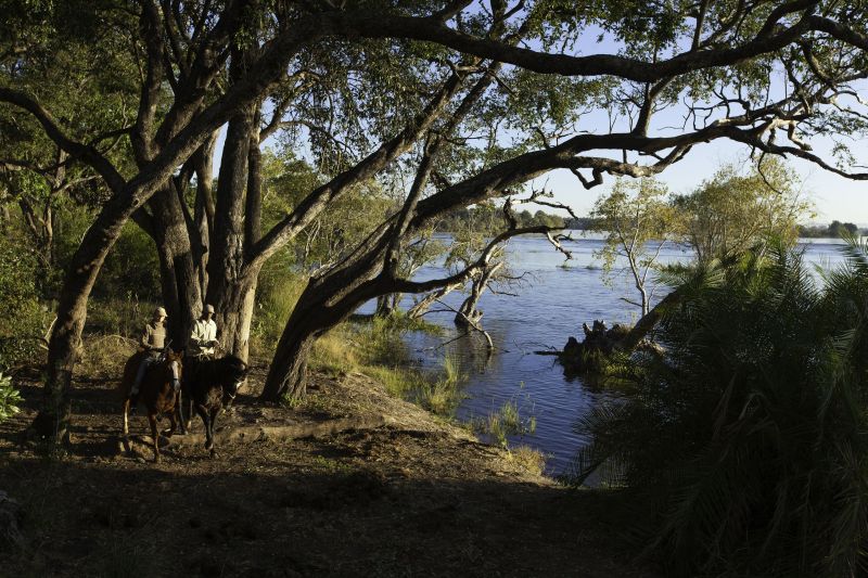 Sambesi Grosswild-Safari