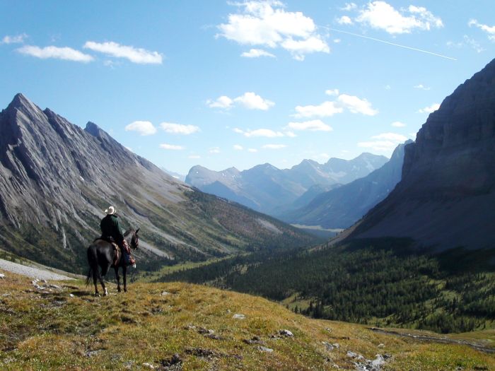 Banff Nationalpark-Ritte