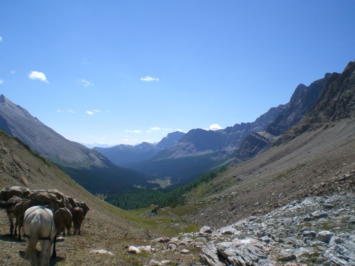 Banff Nationalpark-Ritte