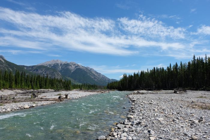 Banff Nationalpark-Ritte