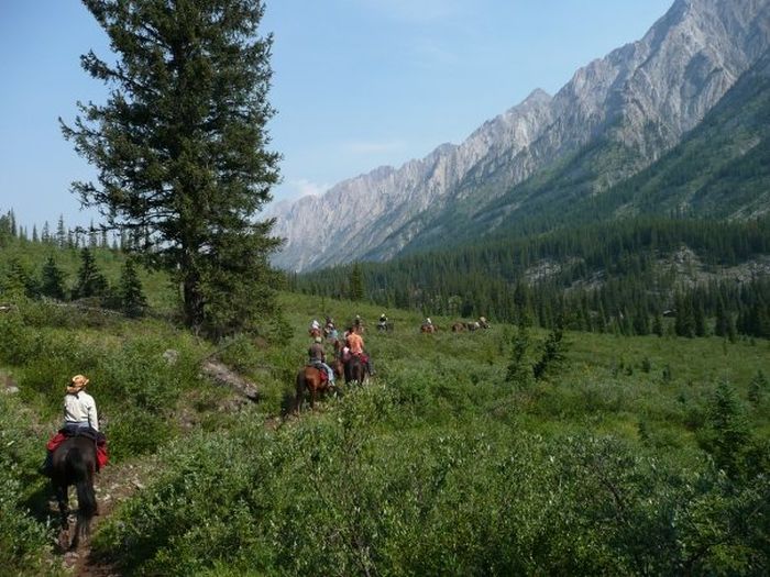 Banff Nationalpark-Ritte