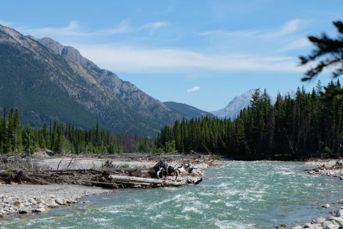 Banff Nationalpark-Ritte