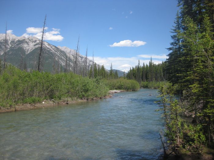 Banff Nationalpark-Ritte