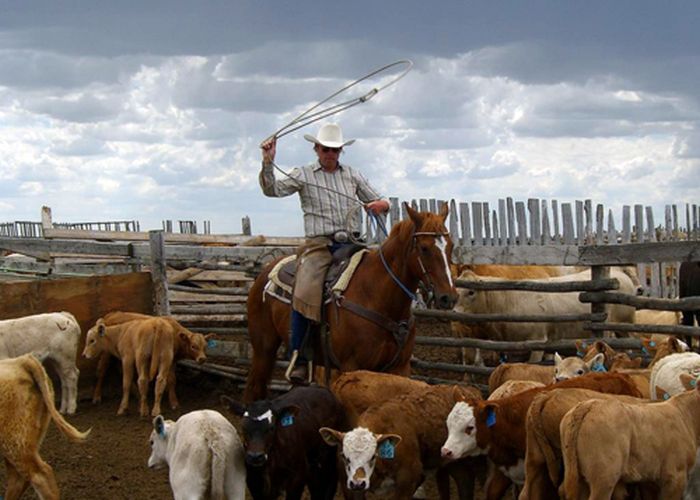 Saskatchewan River Valley Ranch