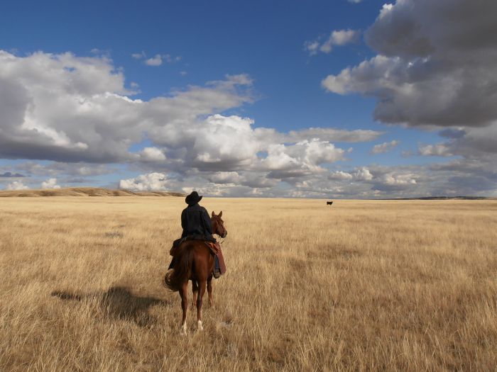 Saskatchewan River Valley Ranch