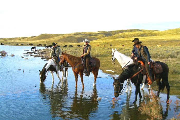 Saskatchewan River Valley Ranch