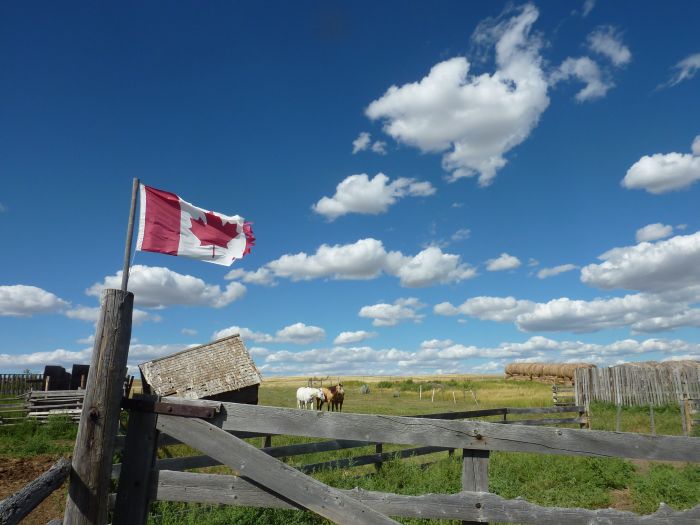 Saskatchewan River Valley Ranch