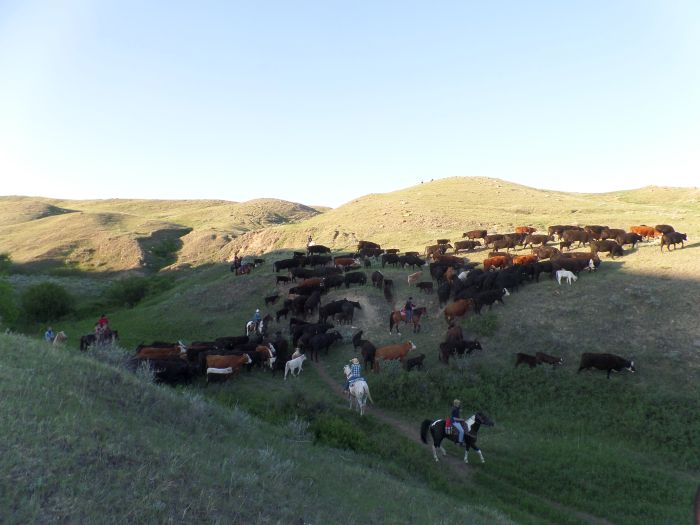 Saskatchewan River Valley Ranch