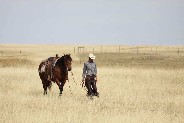 Saskatchewan River Valley Ranch