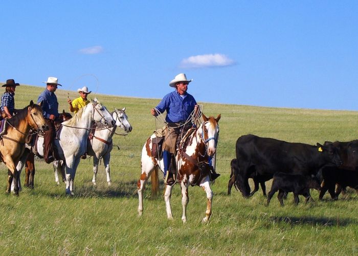 Saskatchewan River Valley Ranch