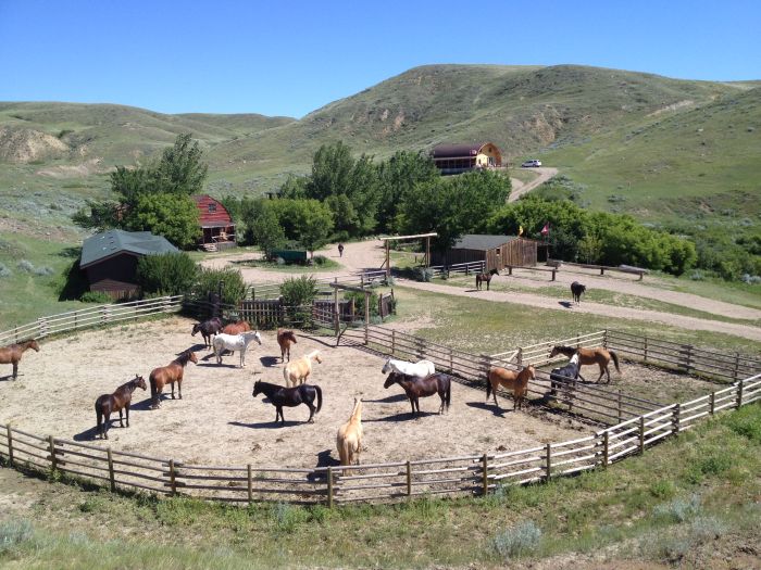 Saskatchewan River Valley Ranch