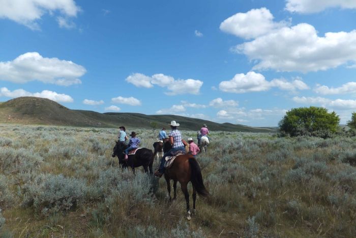 Saskatchewan River Valley Ranch