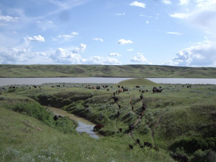 Saskatchewan River Valley Ranch