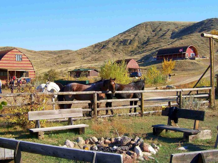 Saskatchewan River Valley Ranch