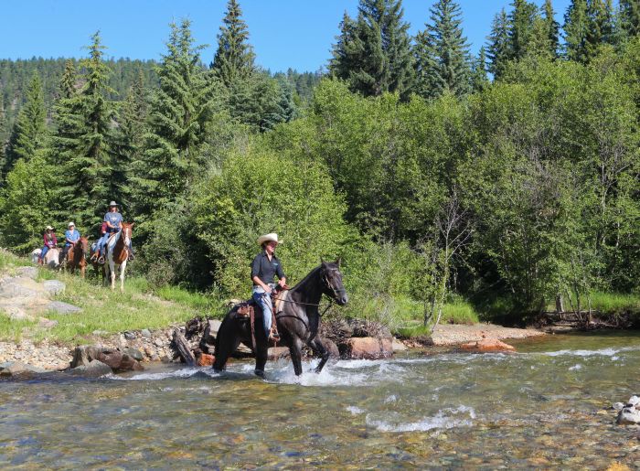 Cranbrook Cattle and Guest Ranch