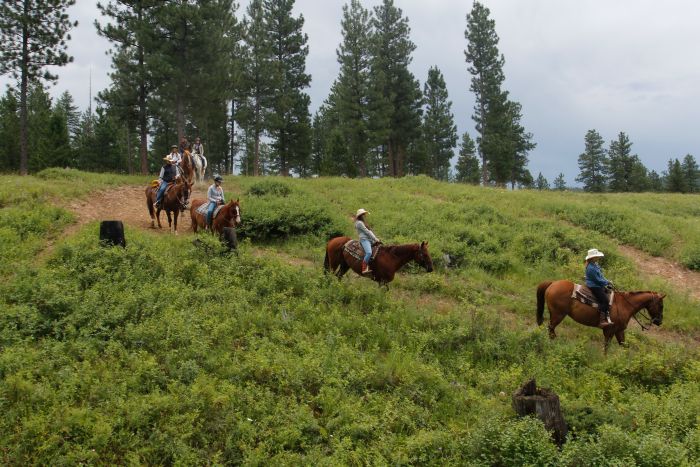 Cranbrook Cattle and Guest Ranch