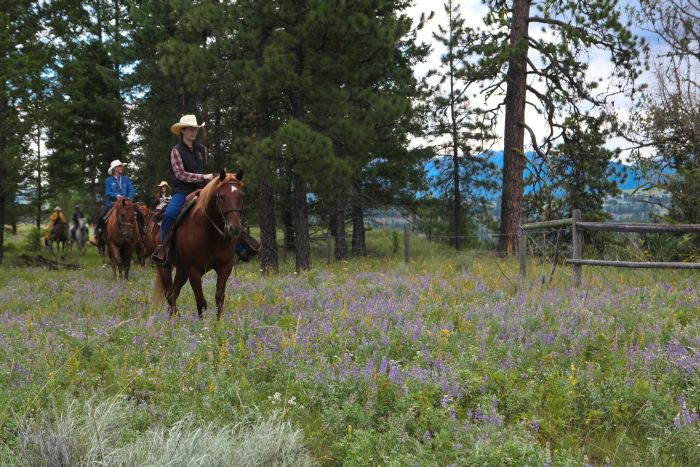 Cranbrook Cattle and Guest Ranch