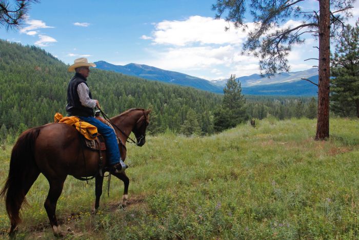 Cranbrook Cattle and Guest Ranch