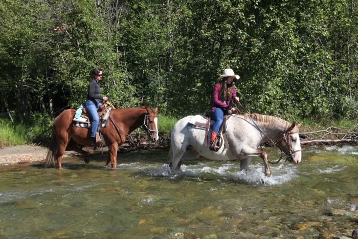 Cranbrook Cattle and Guest Ranch