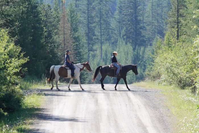 Cranbrook Cattle and Guest Ranch