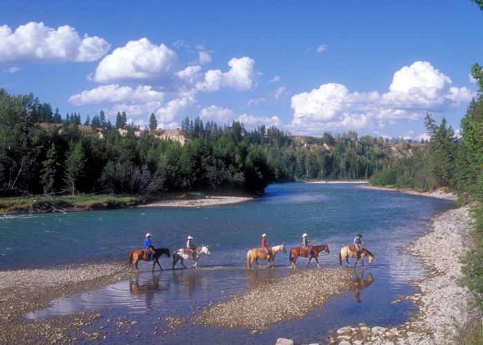 Cranbrook Cattle and Guest Ranch