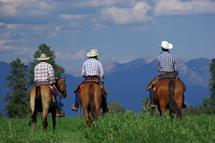 Cranbrook Cattle and Guest Ranch