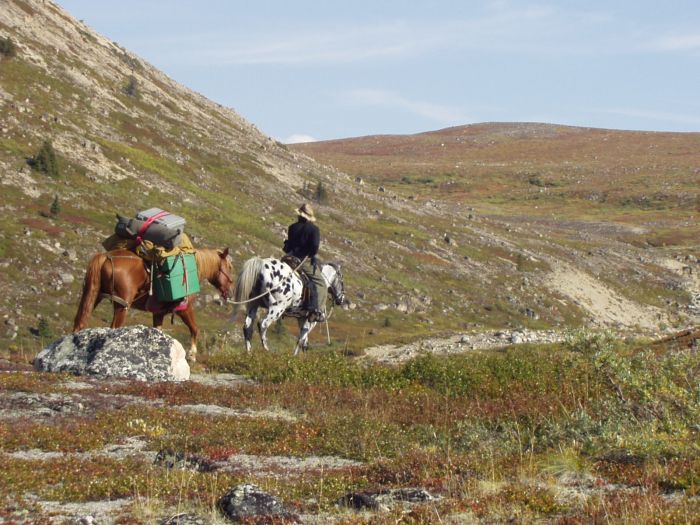 Grizzly Mountain Ritte