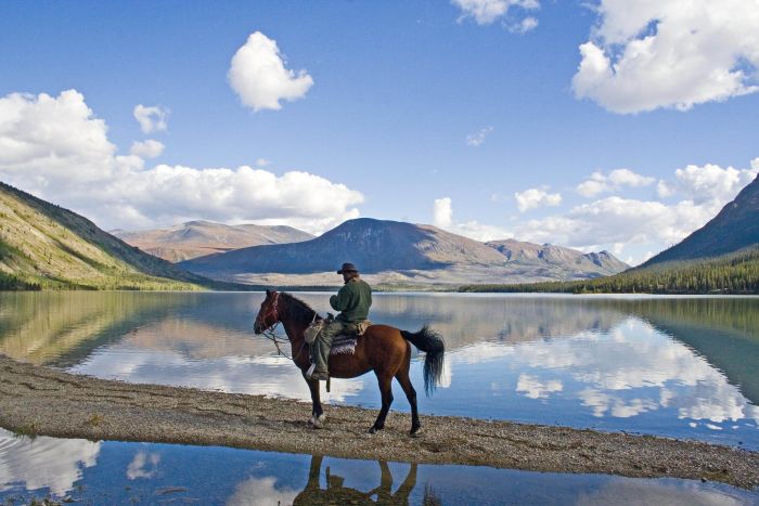 Grizzly Mountain Ritte